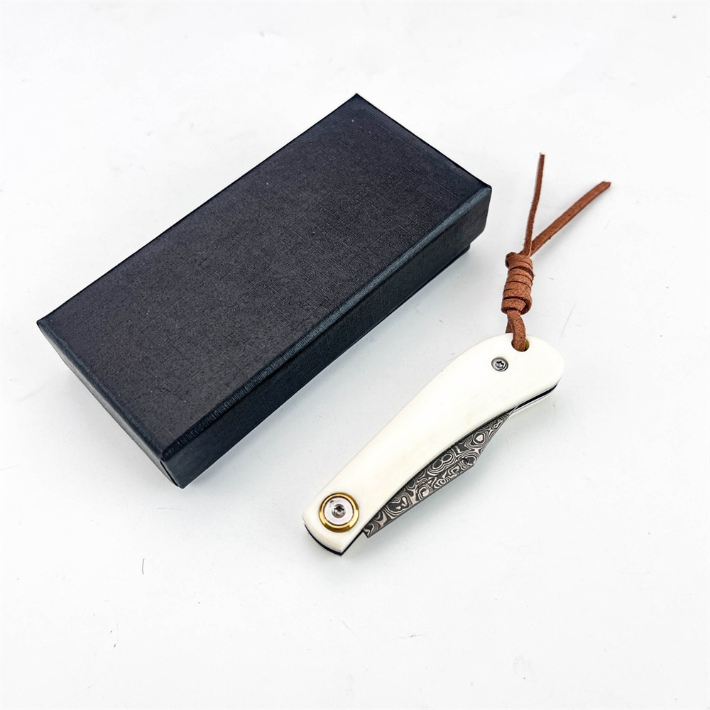 Compact vintage Damascus vouwm - Vintage Collectible Knife recensie en prijs